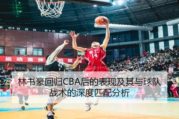 林书豪回归CBA后的表现及其与球队战术的深度匹配分析